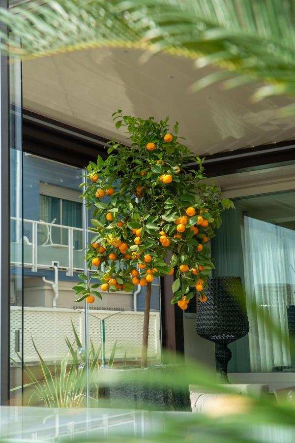 Hotel Orchidea Cervia Zewnętrze zdjęcie